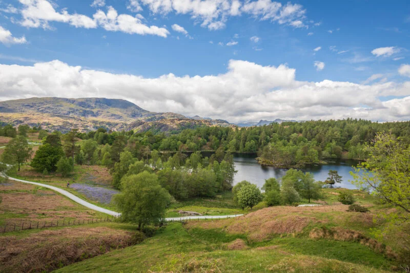 Tarn Hows near windermere