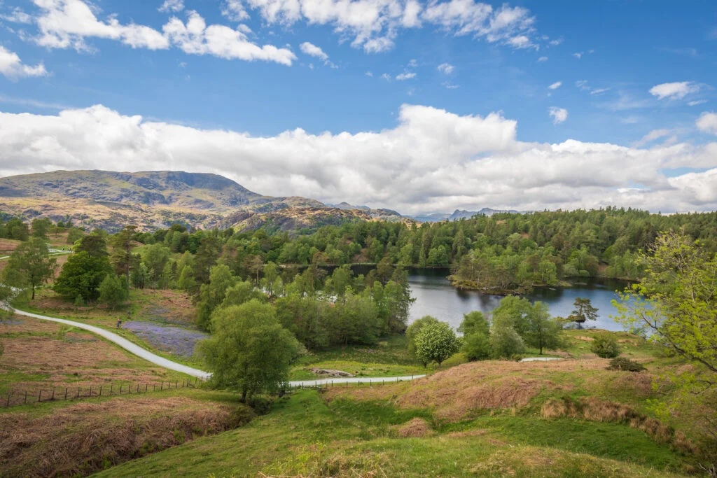 tarn hows walk in the lake district