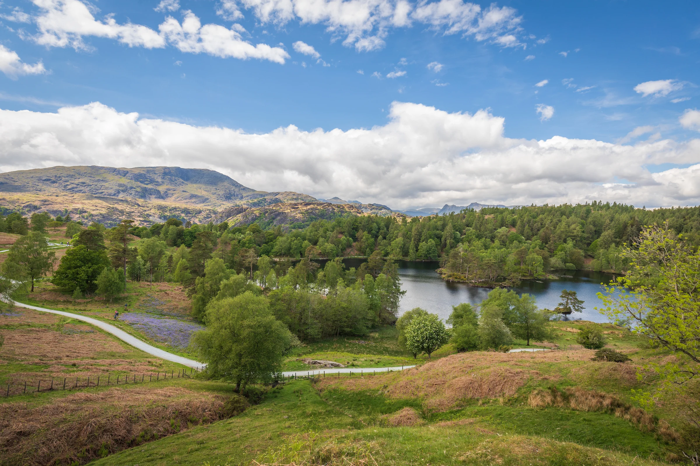 tarn hows walk in the lake district