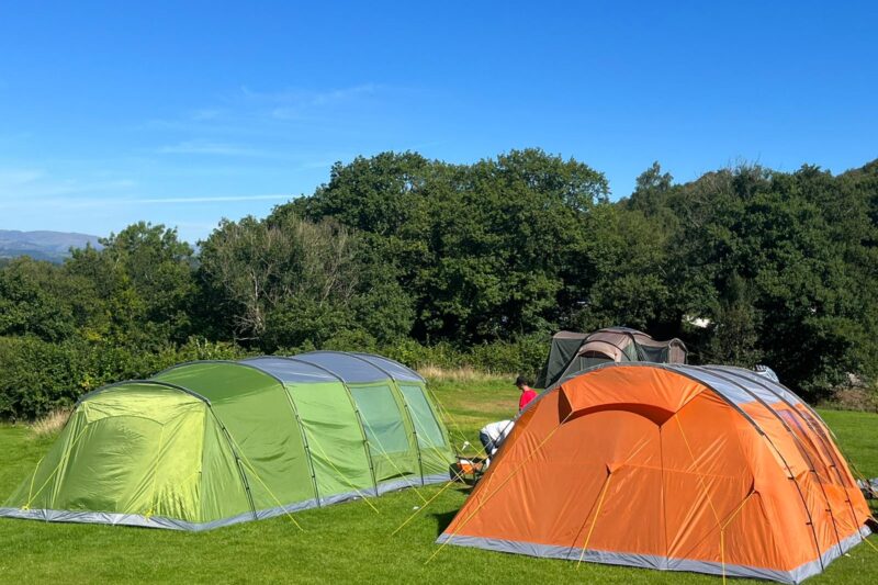 Adjacent tents at Park Cliffe
