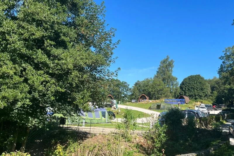 Pitches behind tree camping in the Lake District