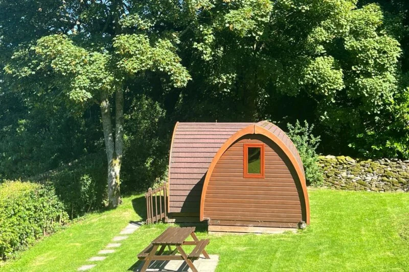 Camping pod underneath the trees