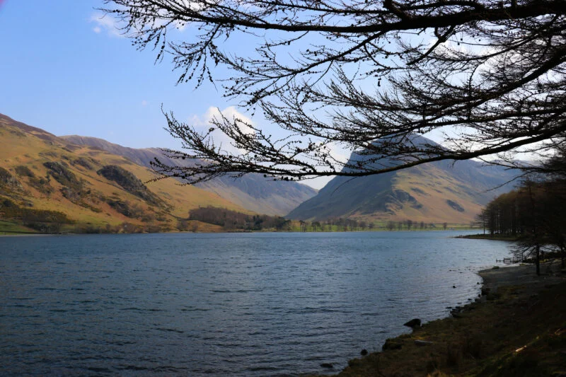 Ullswater Lake backdrop with tree