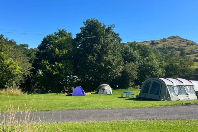 Tents Shaded Underneath Tree