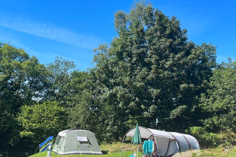 Tents at Park Cliffe campsite