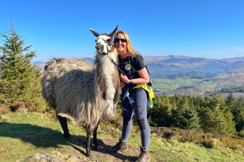 lady walking alpaca in the lake district