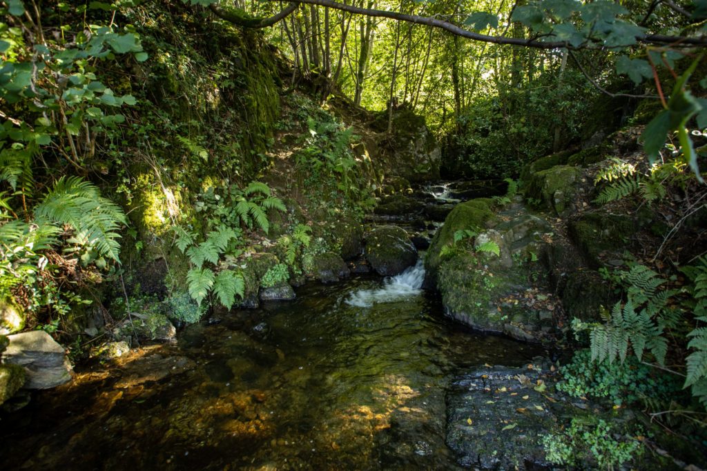 Park Cliffe Lake District Campsite Stream