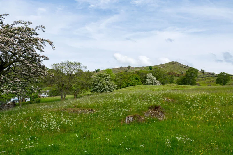 deluxe camping pod view at park cliffe