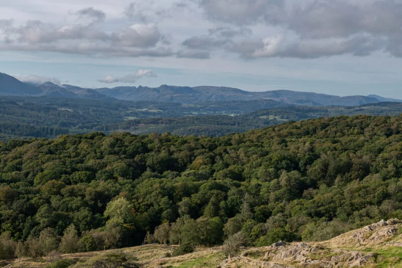 fells surrounding park cliffe