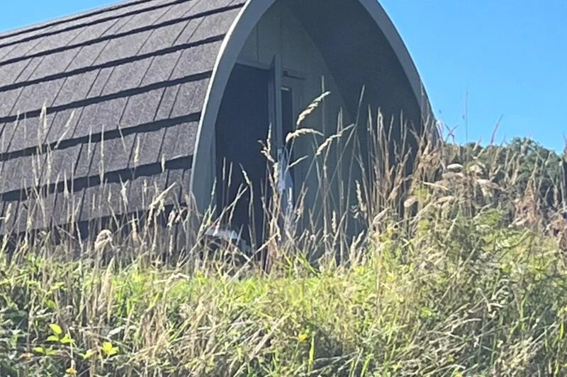 Camping pods amongst the grass