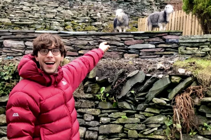 sheep