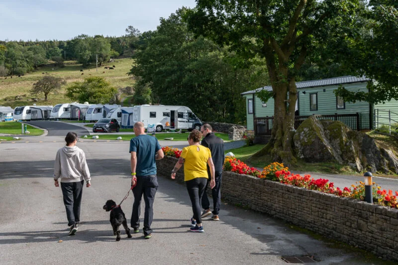 family and dog walking around park cliffe caravan park