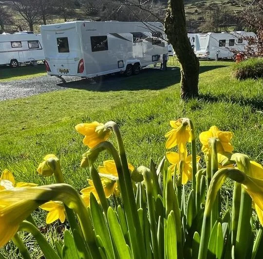 park cliffe flowers and motorhomes