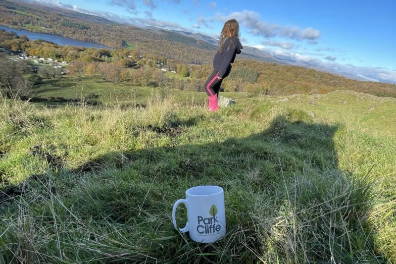 park cliffe mug in a field with girl