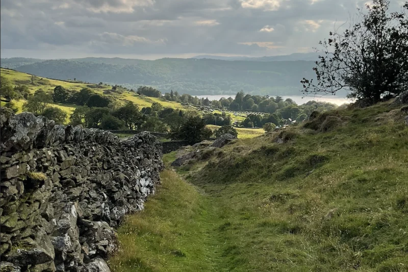 path in a field with view of lake