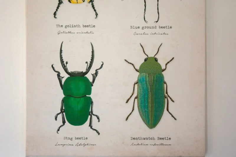 shepherds hut art Lake District