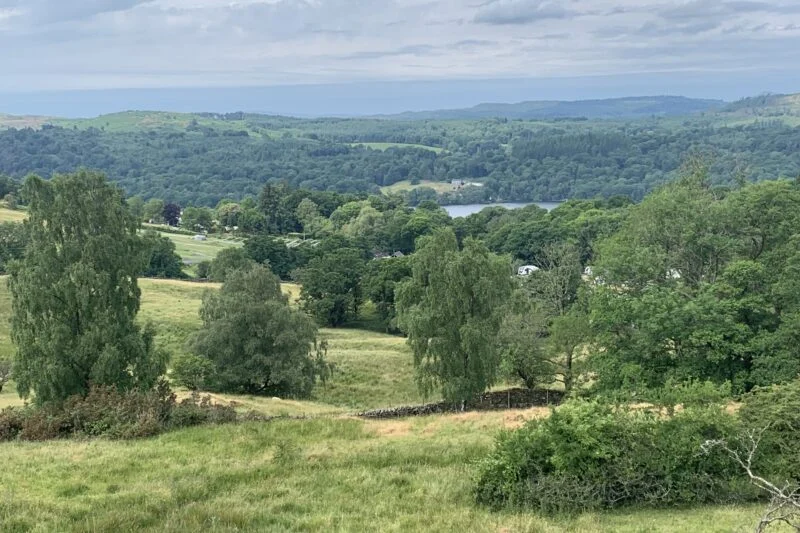 trees and countryside