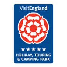 Visit England Logo