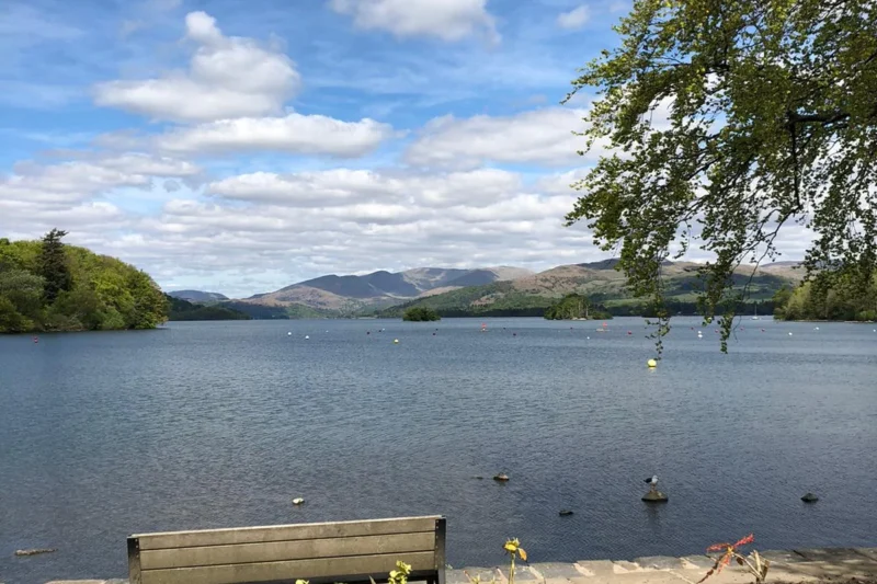 Bowness view with bench
