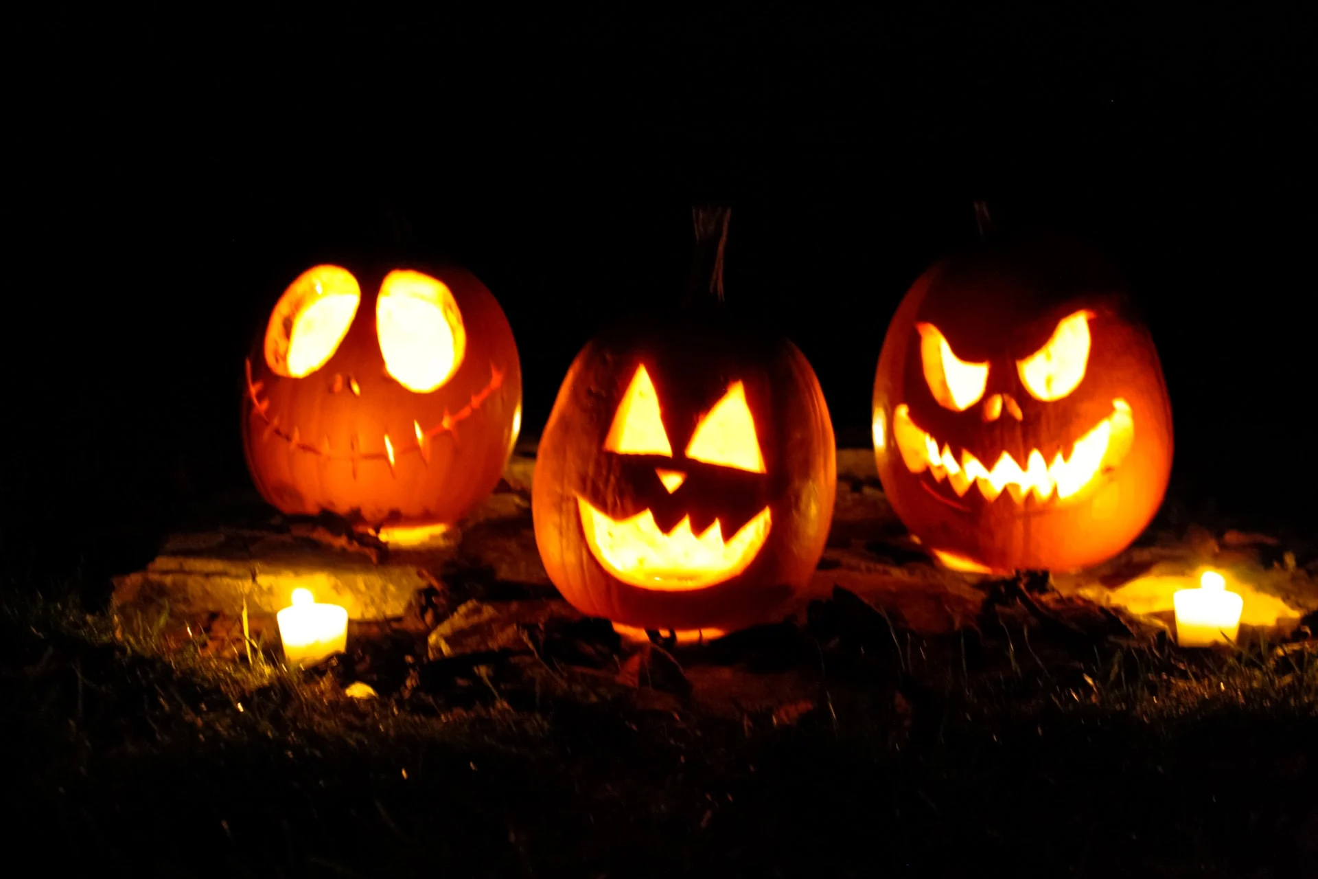pumpkins at halloween