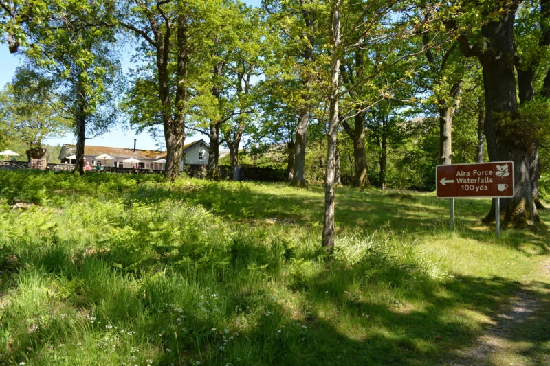 aira foce tearooms