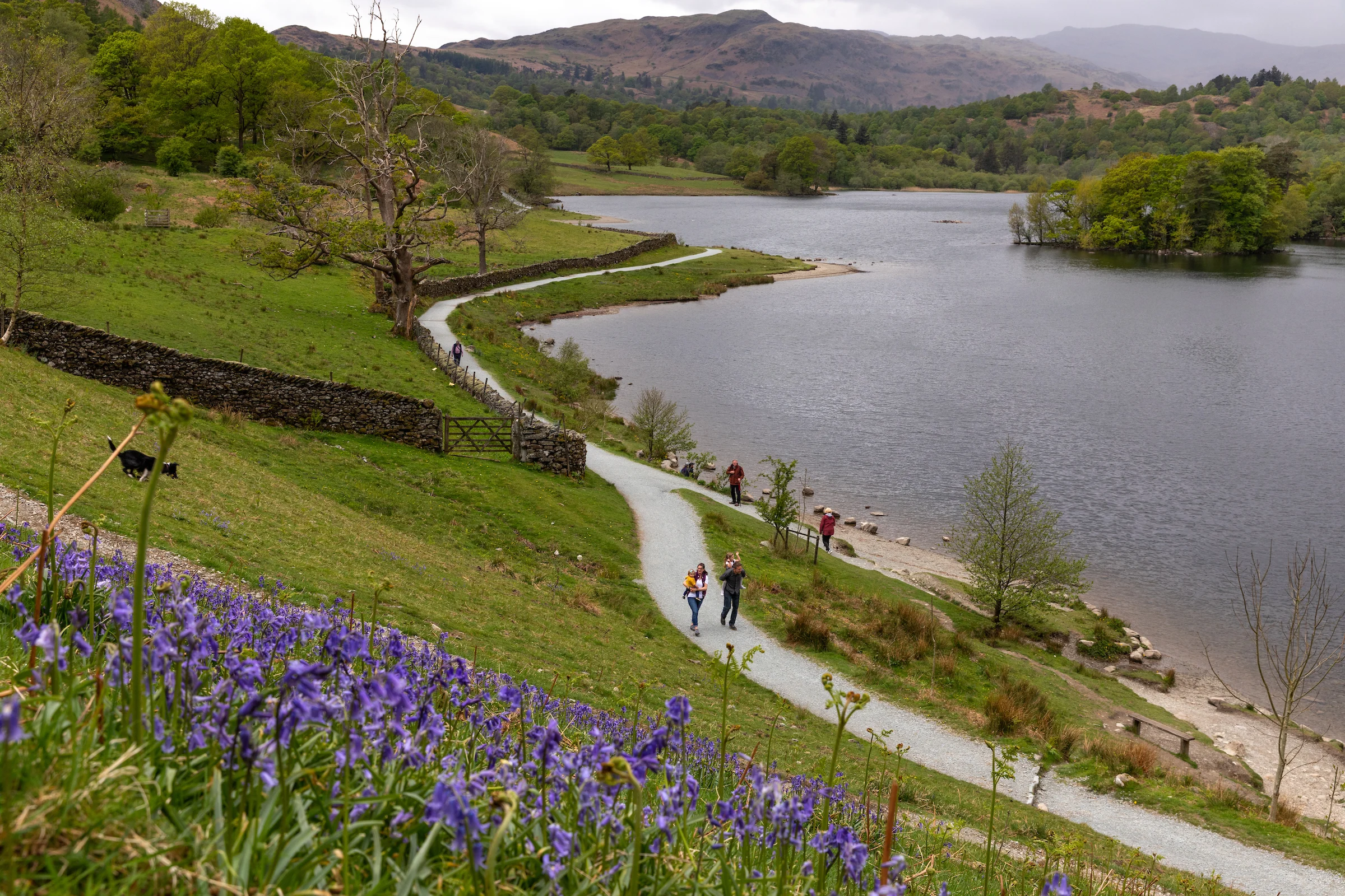 family walking along footpath on the shore of windermere