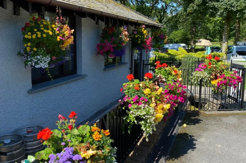 Hanging baskets at Park Cliffe caravan park