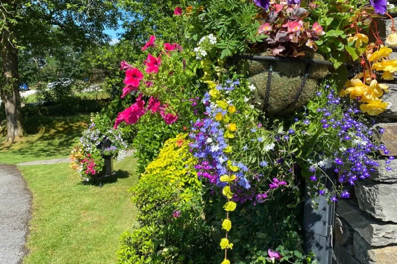 floral displays at Park Cliffe