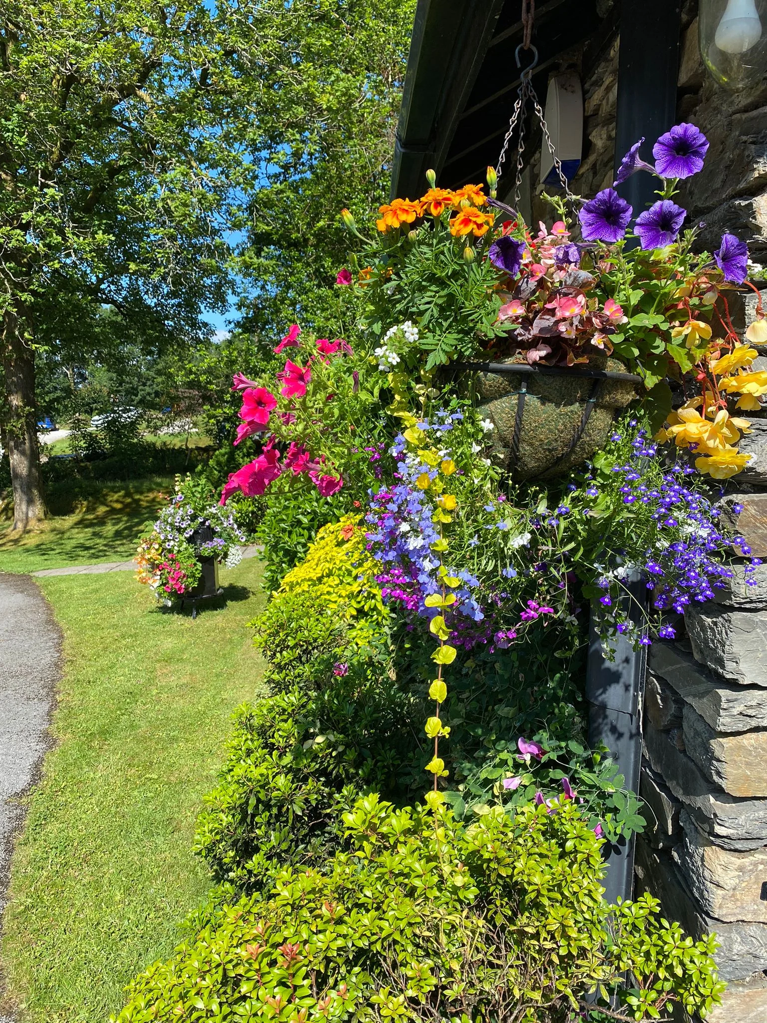 floral displays at Park Cliffe