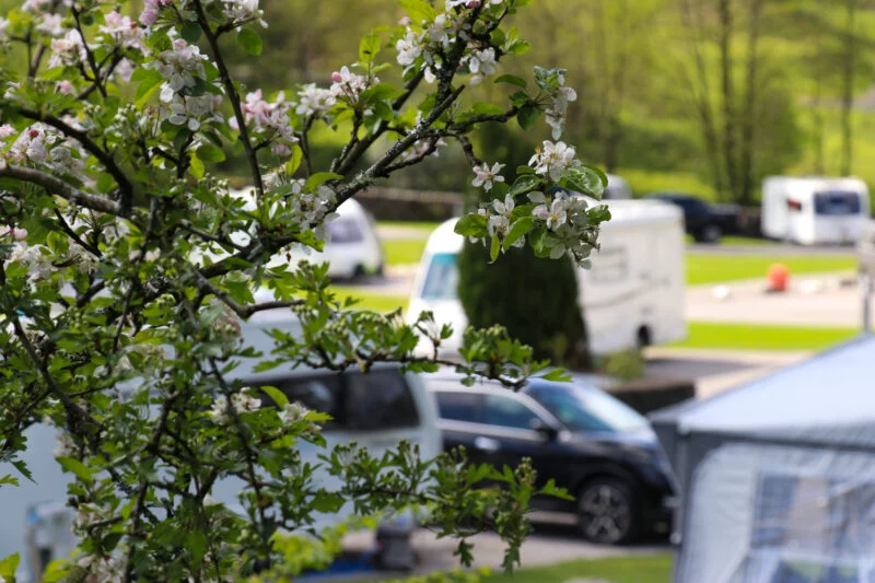 Touring pitches cars and camper vans