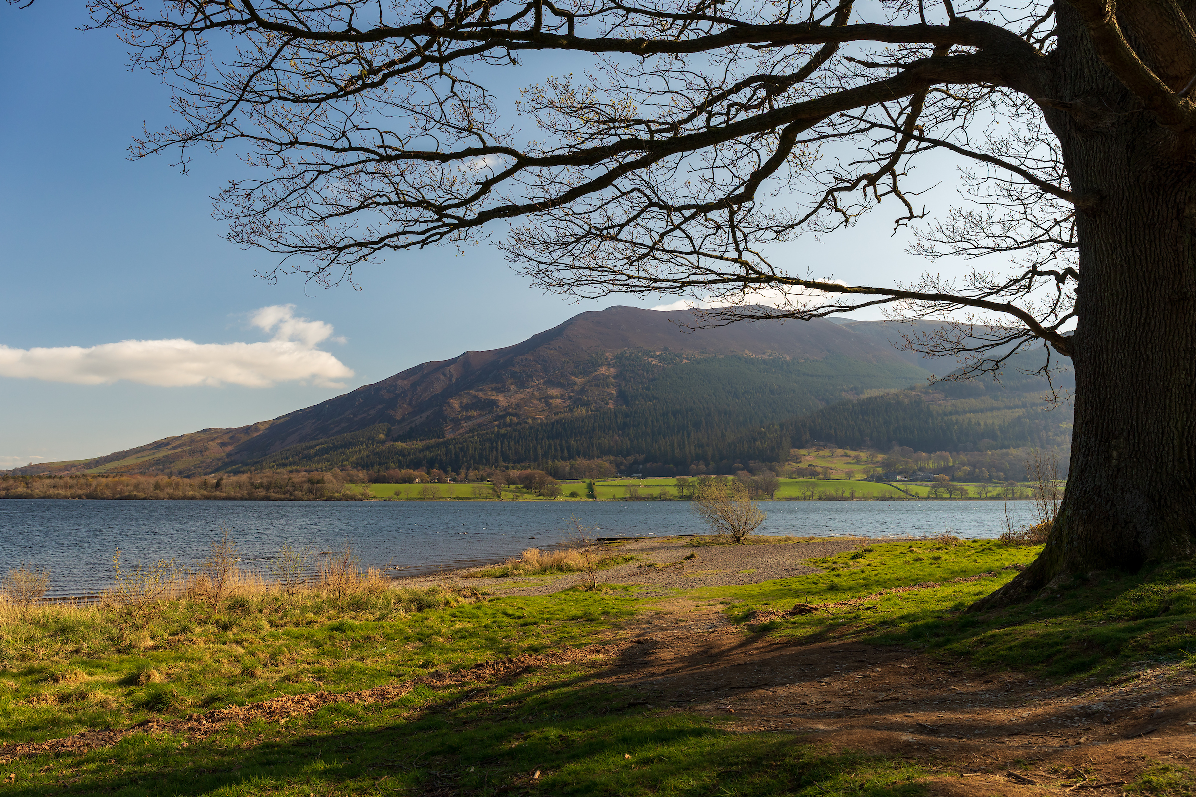bassenthwaite lake