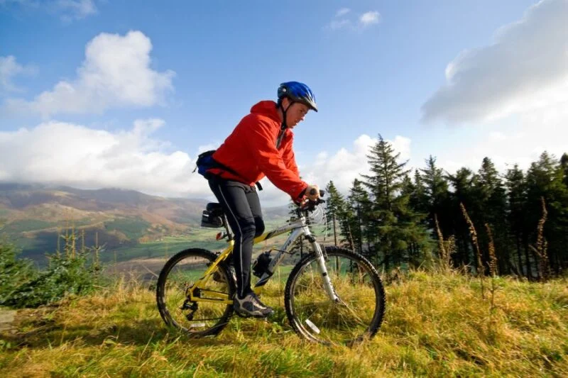 man cycling in Whinlatter forest