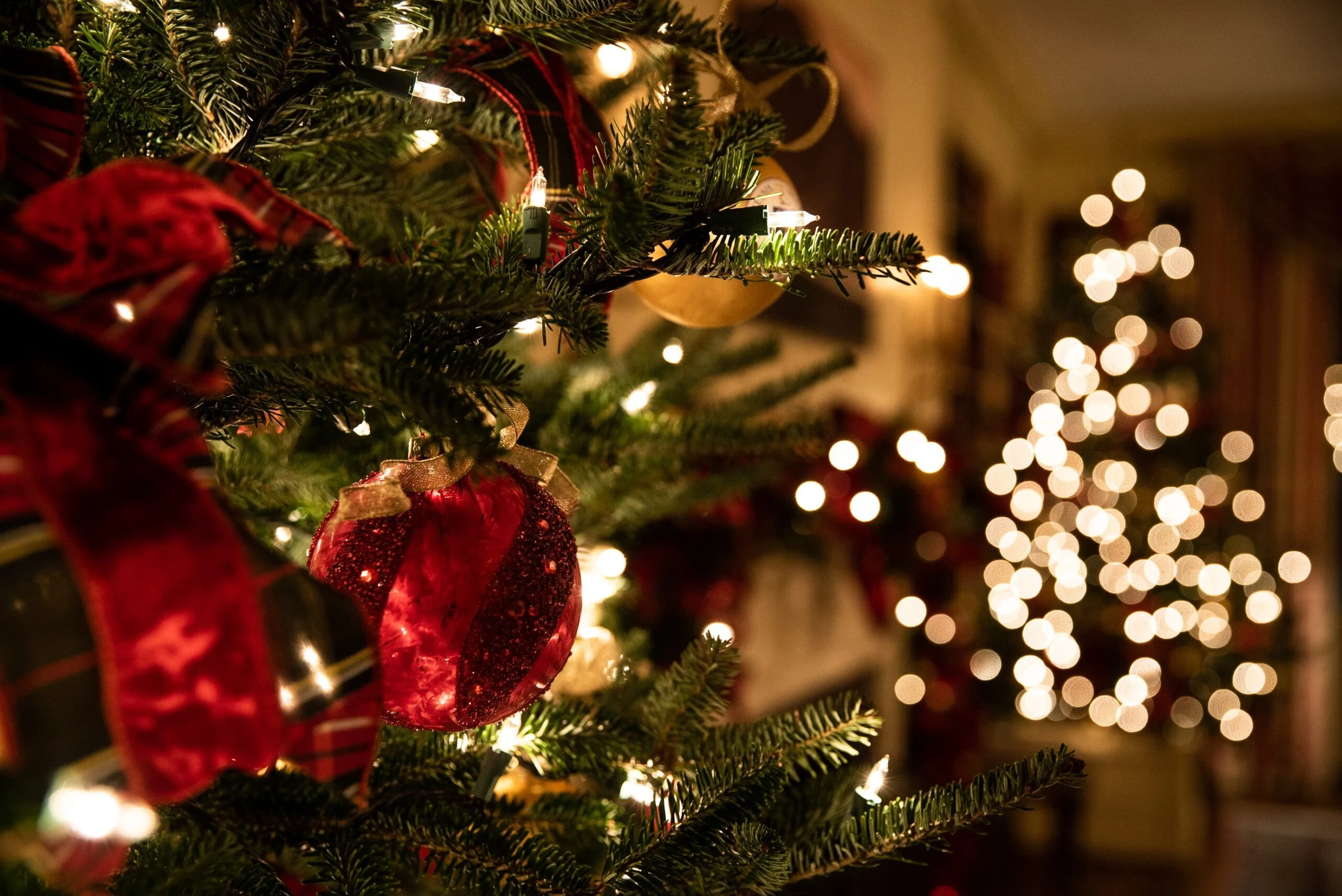 What to do in the Lake District this December Header