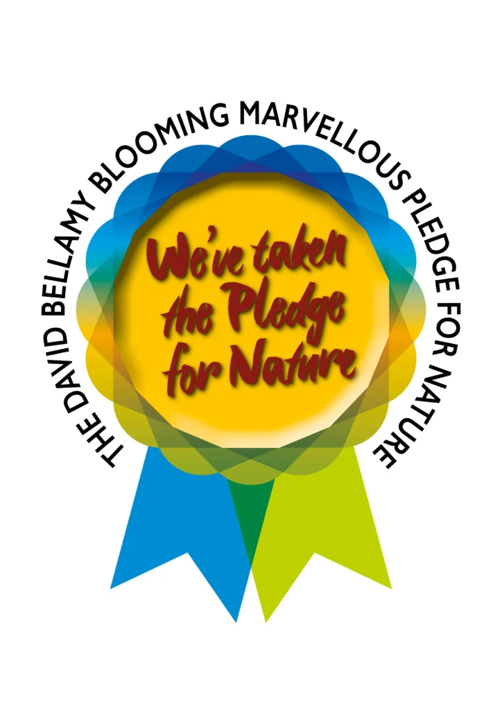 davide bellamy taken the pledge