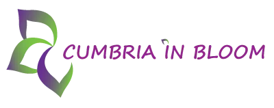 cumbria in bloom award